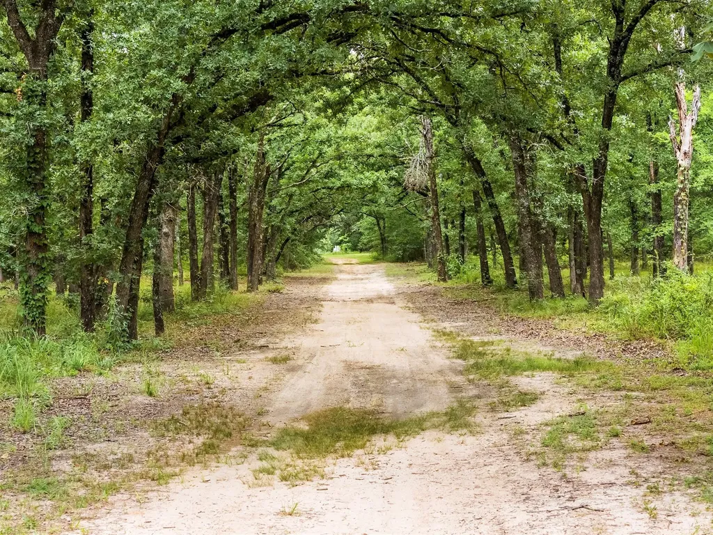 871 Vz County Road 1913 Fruitvale TX 75127