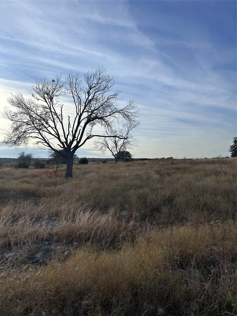 245 Grand Canyon Drive Oglesby TX 76561
