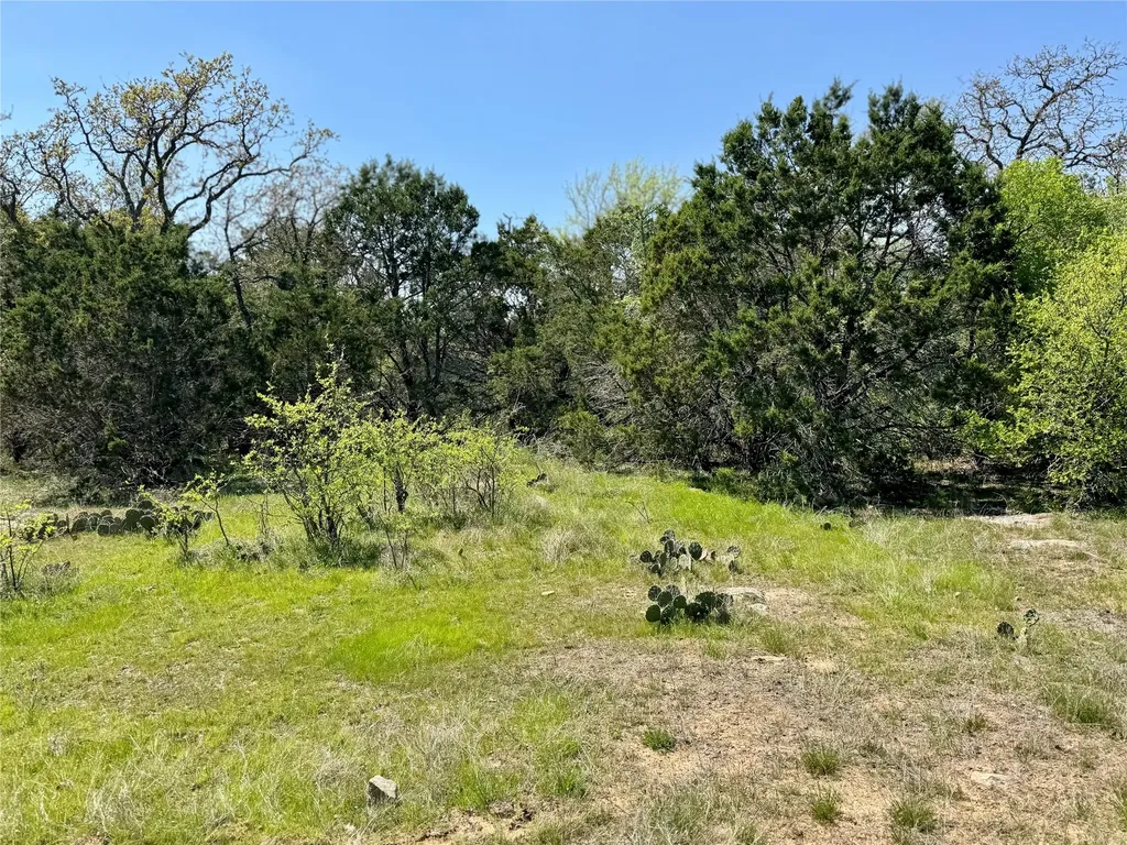 Tbd Fm 1885 Perrin TX 76486