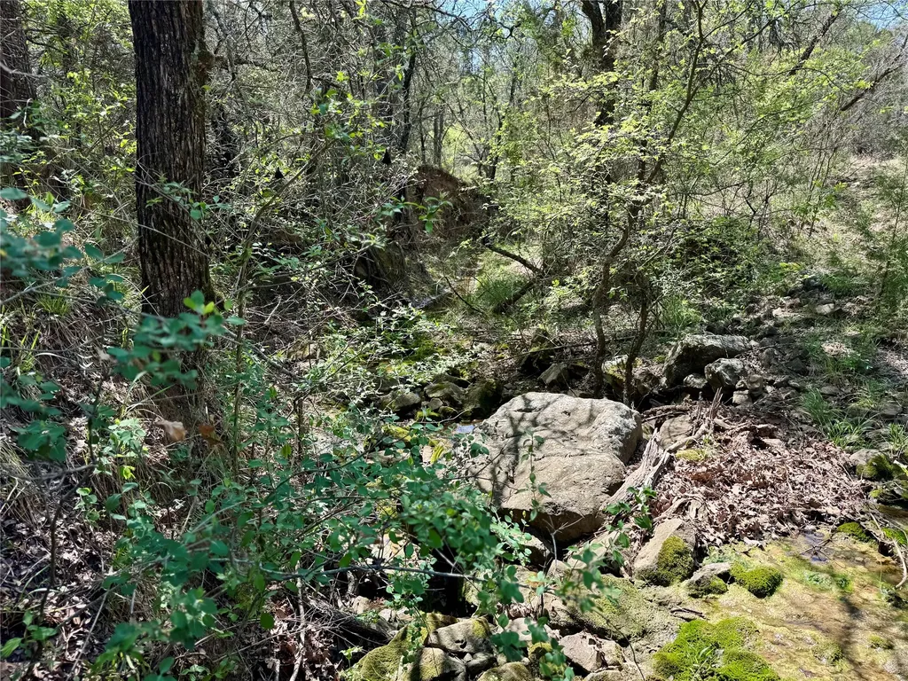 Tbd Fm 1885 Perrin TX 76486