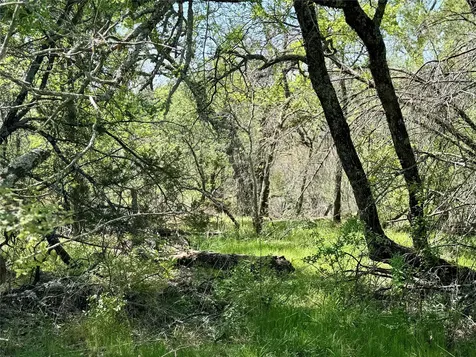 Tbd Fm 1885 Perrin TX 76486