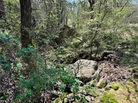 Tbd Fm 1885 Perrin TX 76486