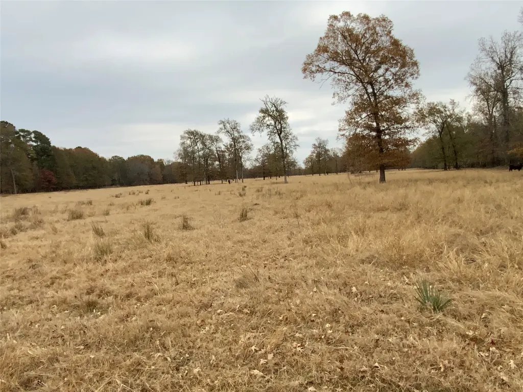 1 W Harrison Road Longview TX 75604
