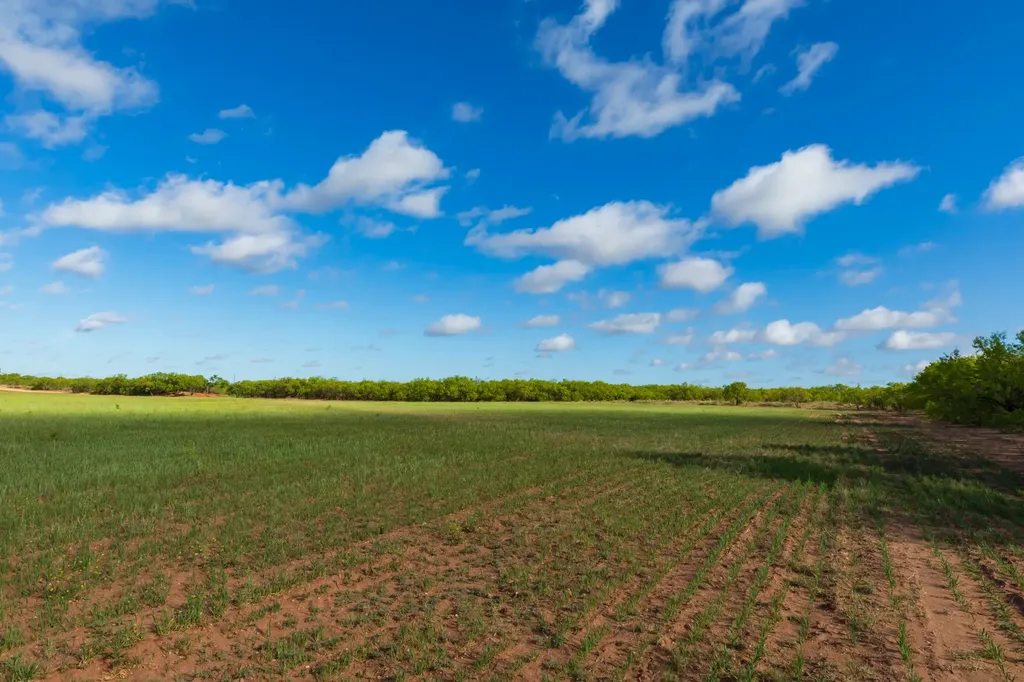 Tbd Farm Market 600 Highway Haskell TX 79521