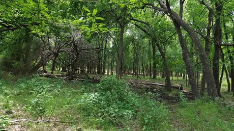 Tbd N County Road 3110 Hillsboro TX 76645