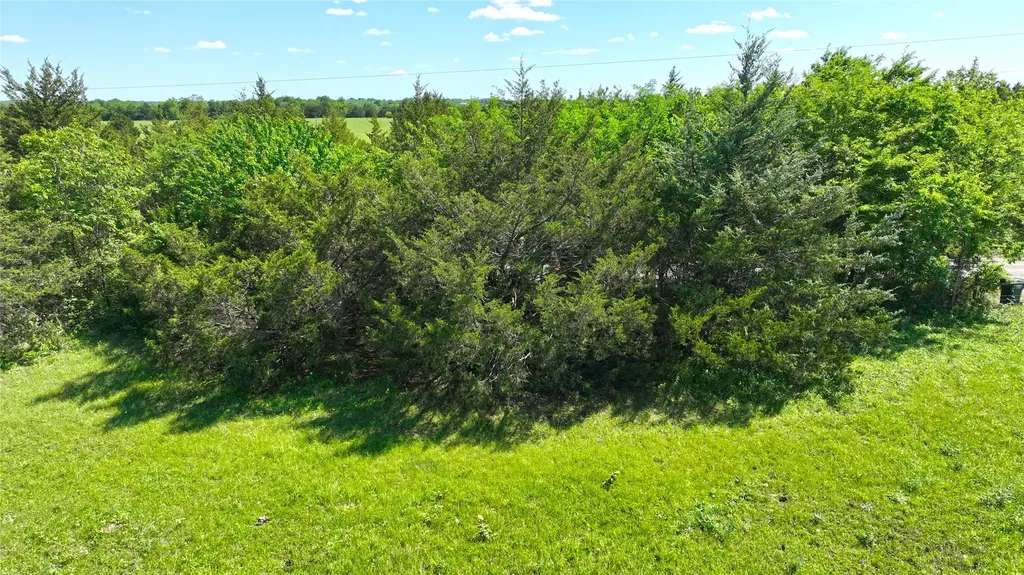 Tbd County Road 4535 Trenton TX 75490