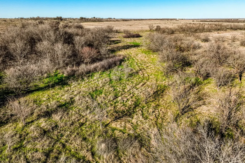 3151 Orth Olney TX 76374
