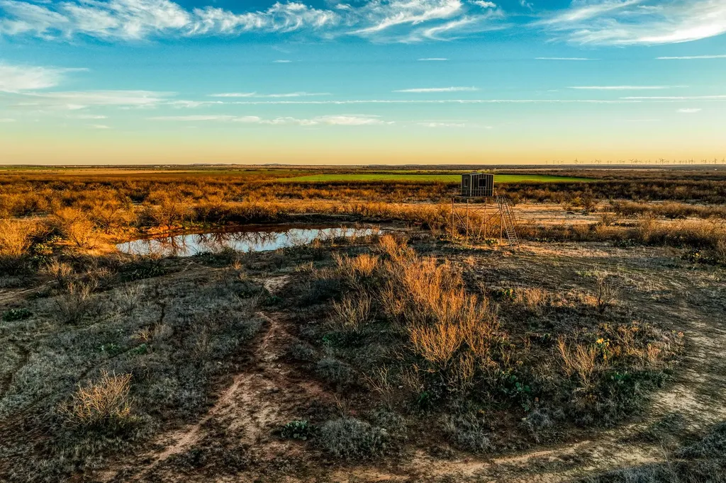 3151 Orth Olney TX 76374