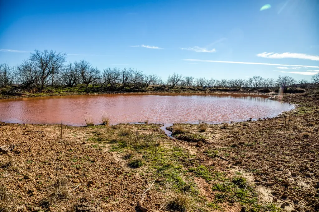 3151 Orth Olney TX 76374
