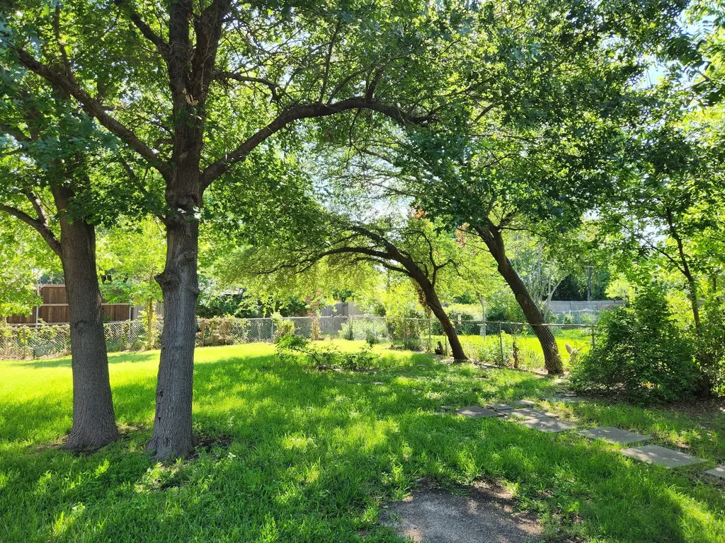 203 Leda Drive Dallas TX 75218