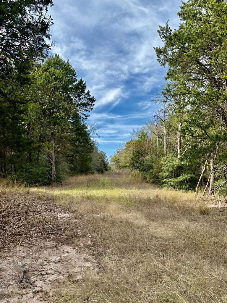 184 Fcr Teague TX 75860
