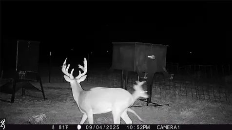 Tbd Cr 235, 227 Haskell TX 79521