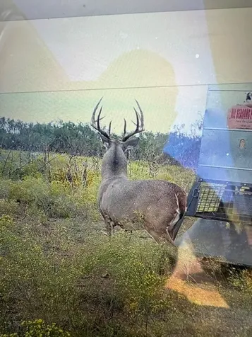 Tbd Cr 235, 227 Haskell TX 79521