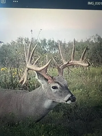 Tbd Cr 235, 227 Haskell TX 79521