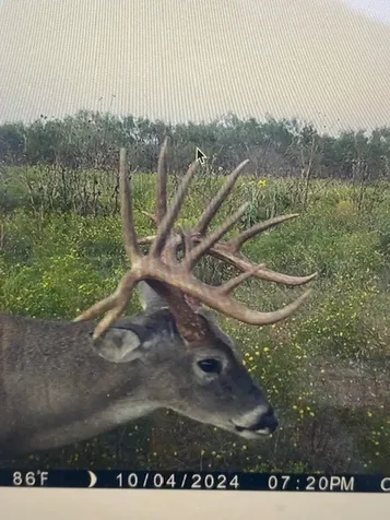Tbd Cr 235, 227 Haskell TX 79521