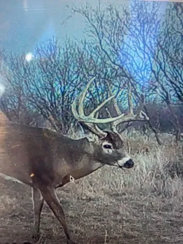 Tbd Cr 235, 227 Haskell TX 79521