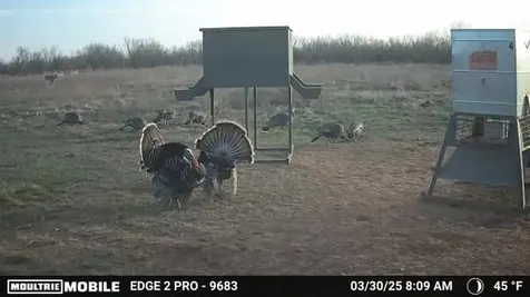 Tbd Cr 235, 227 Haskell TX 79521