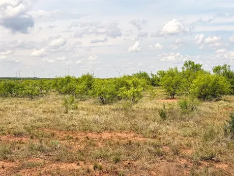 Tbd Cr 235, 227 Haskell TX 79521