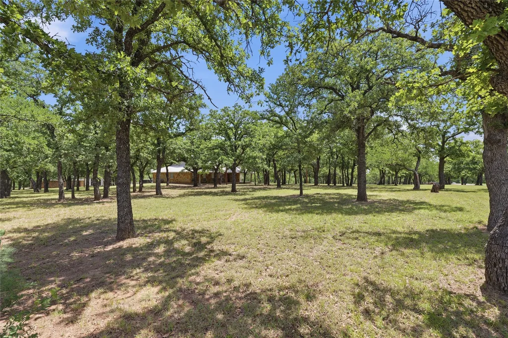 1528 Tidwell Road Brock TX 76087