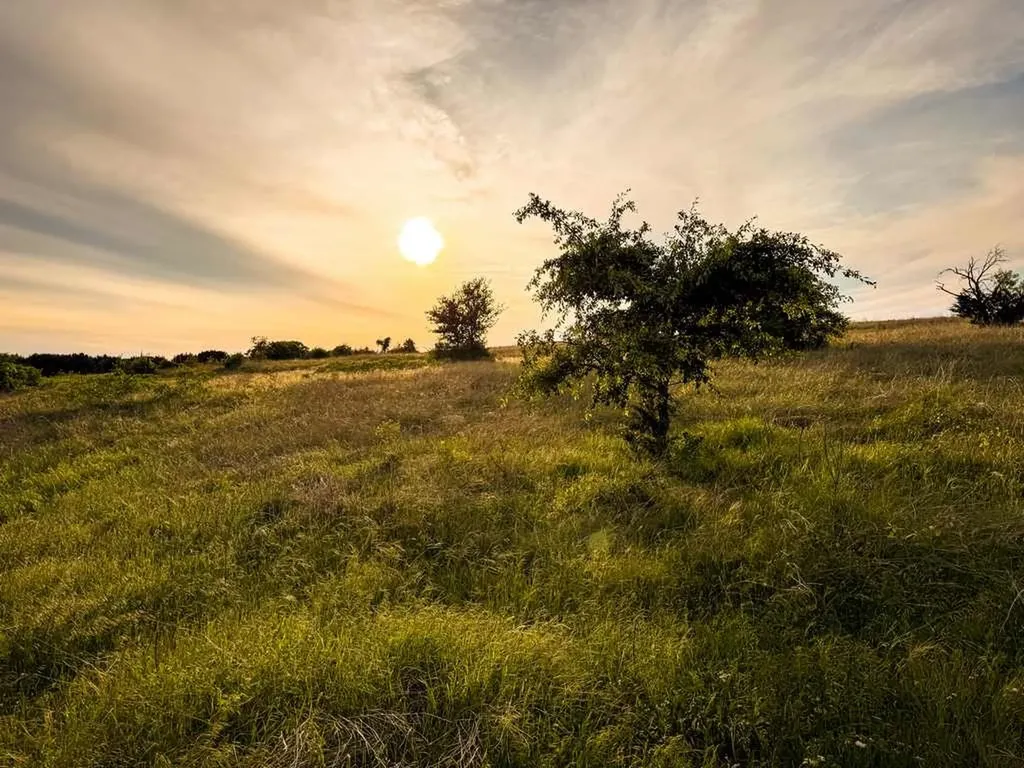 Tbd County Road 96 Purmela TX 76566
