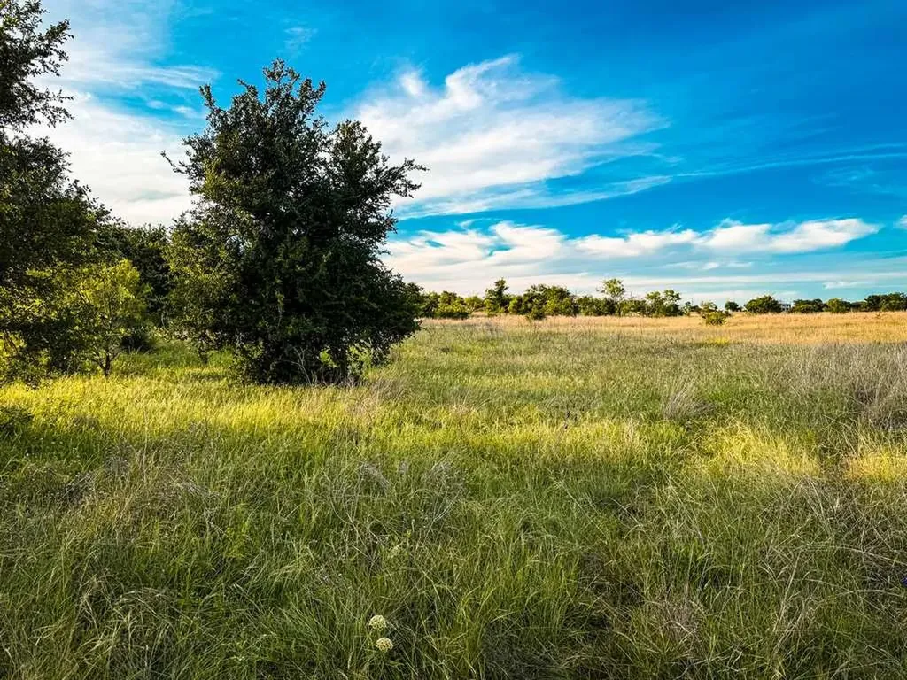 Tbd County Road 96 Purmela TX 76566