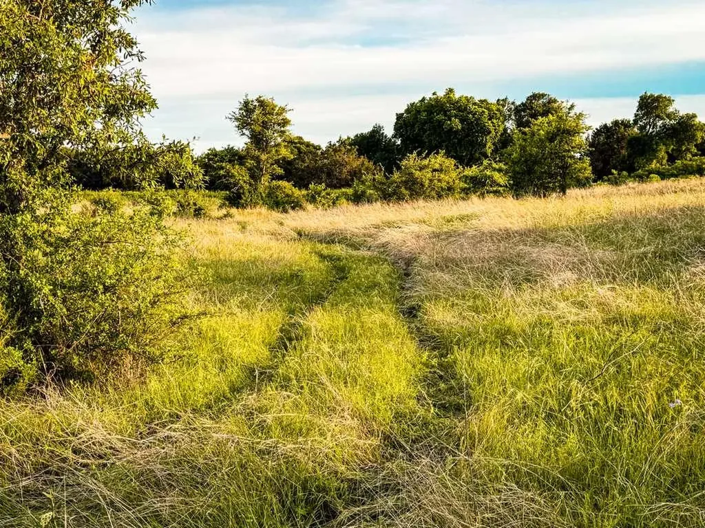 Tbd County Road 96 Purmela TX 76566