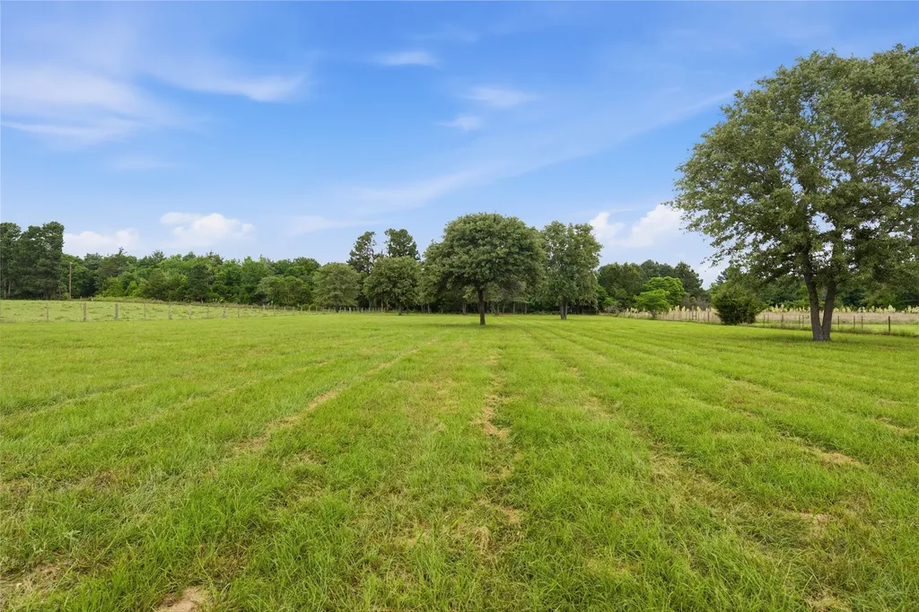 11219 Fm 317 Murchison TX 75778