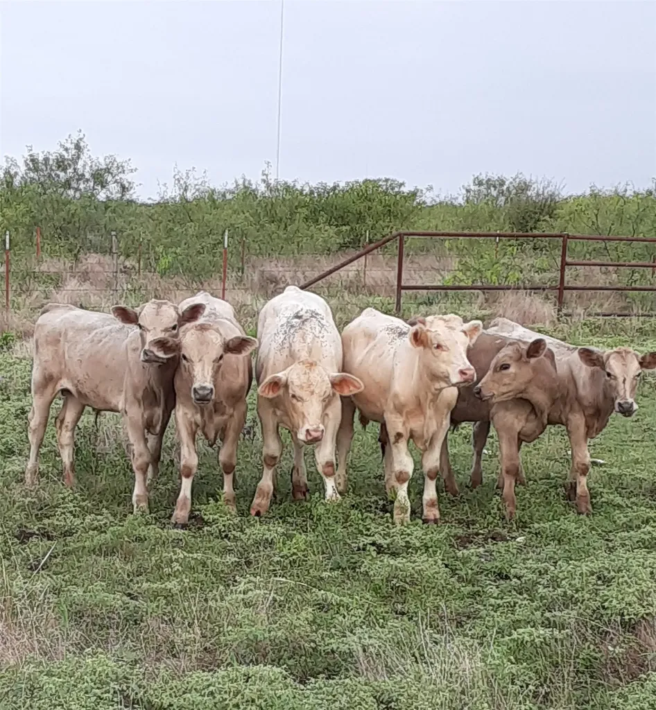 2276 Hodge Moody TX 76557