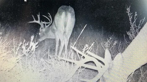 136 Moose Trail Ranger TX 76470