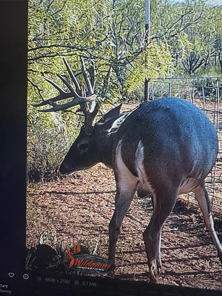 Tbd Cr 454 Sagerton TX 79548
