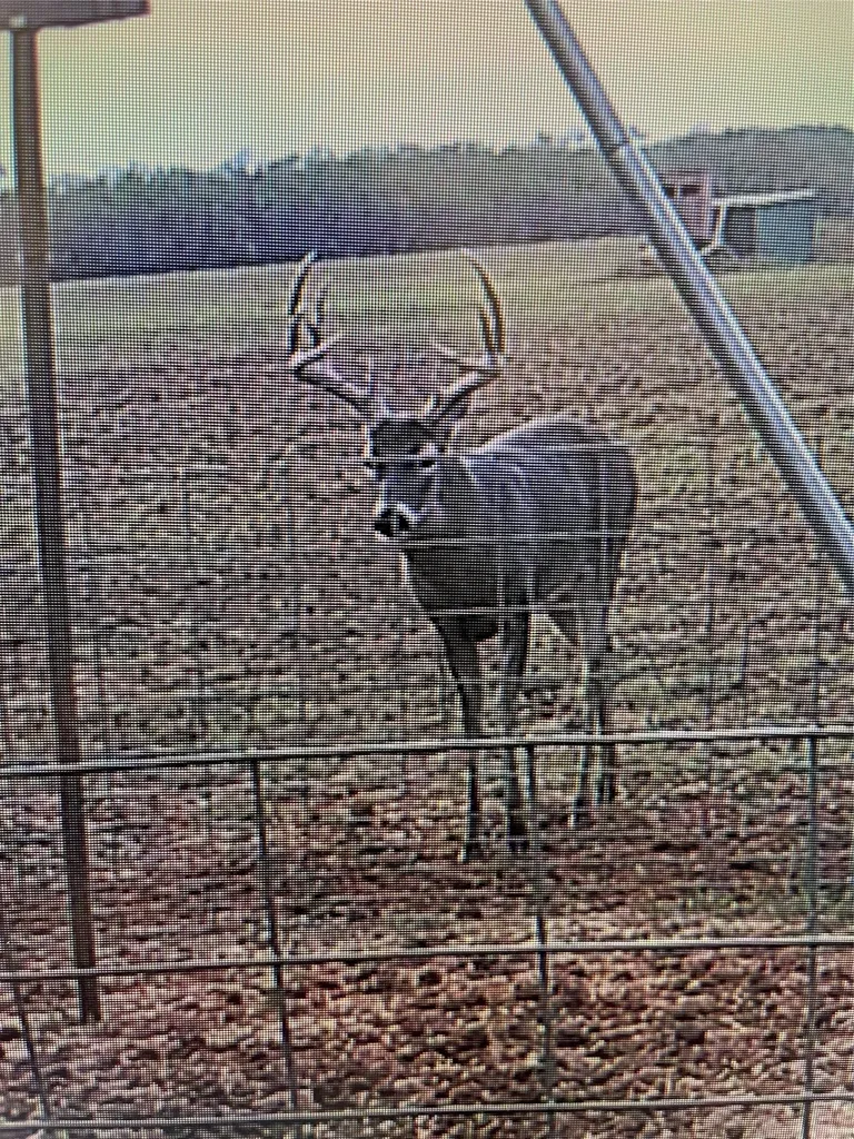 Tbd Cr 454 Sagerton TX 79548