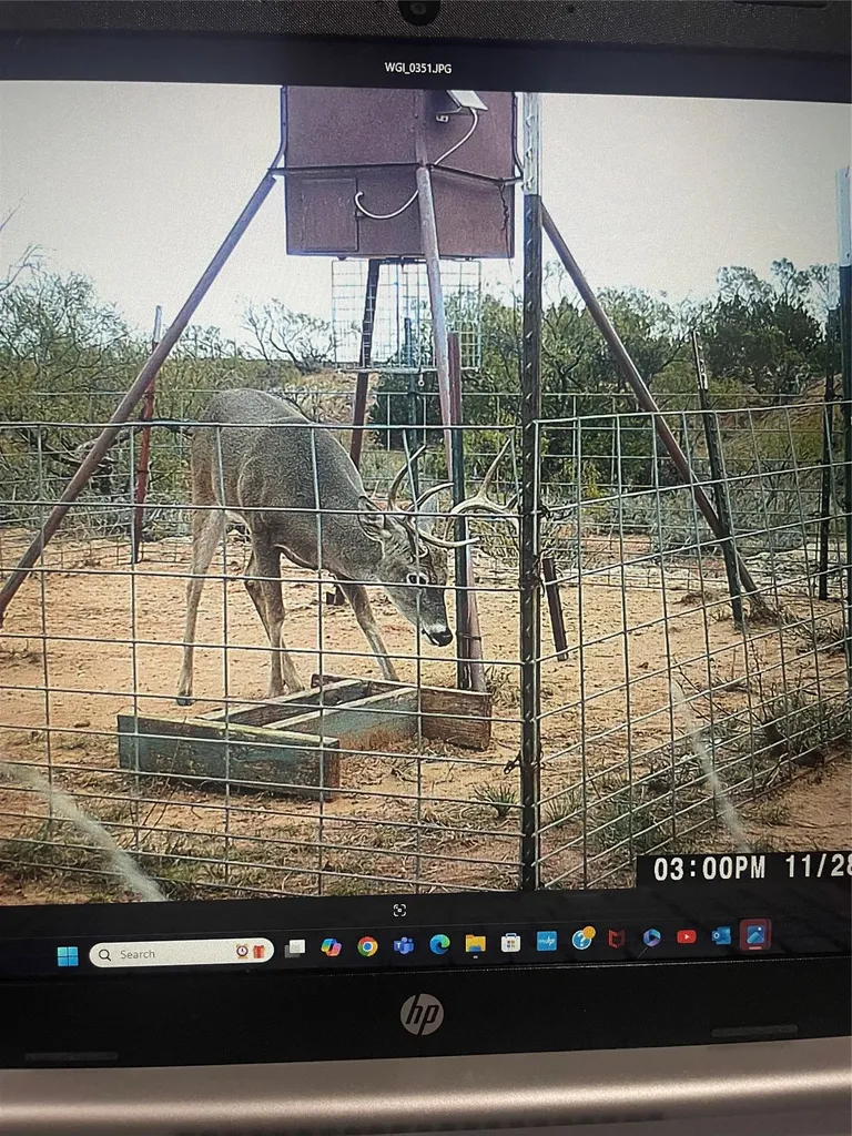 Tbd Cr 454 Sagerton TX 79548