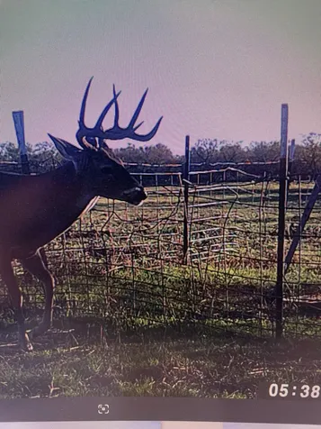 Tbd Cr 454 Sagerton TX 79548