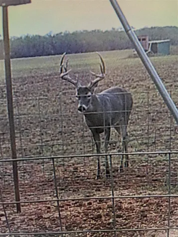 Tbd Cr 454 Sagerton TX 79548