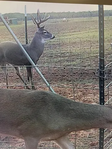 Tbd Cr 454 Sagerton TX 79548