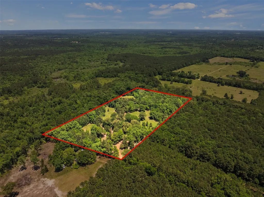 4469 County Road 1579 Avinger TX 75630
