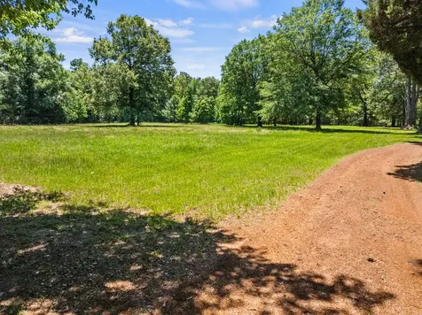 4469 County Road 1579 Avinger TX 75630