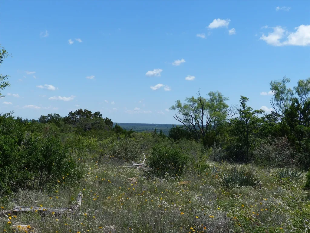 1825 Fm 1028 Rochelle TX 76872
