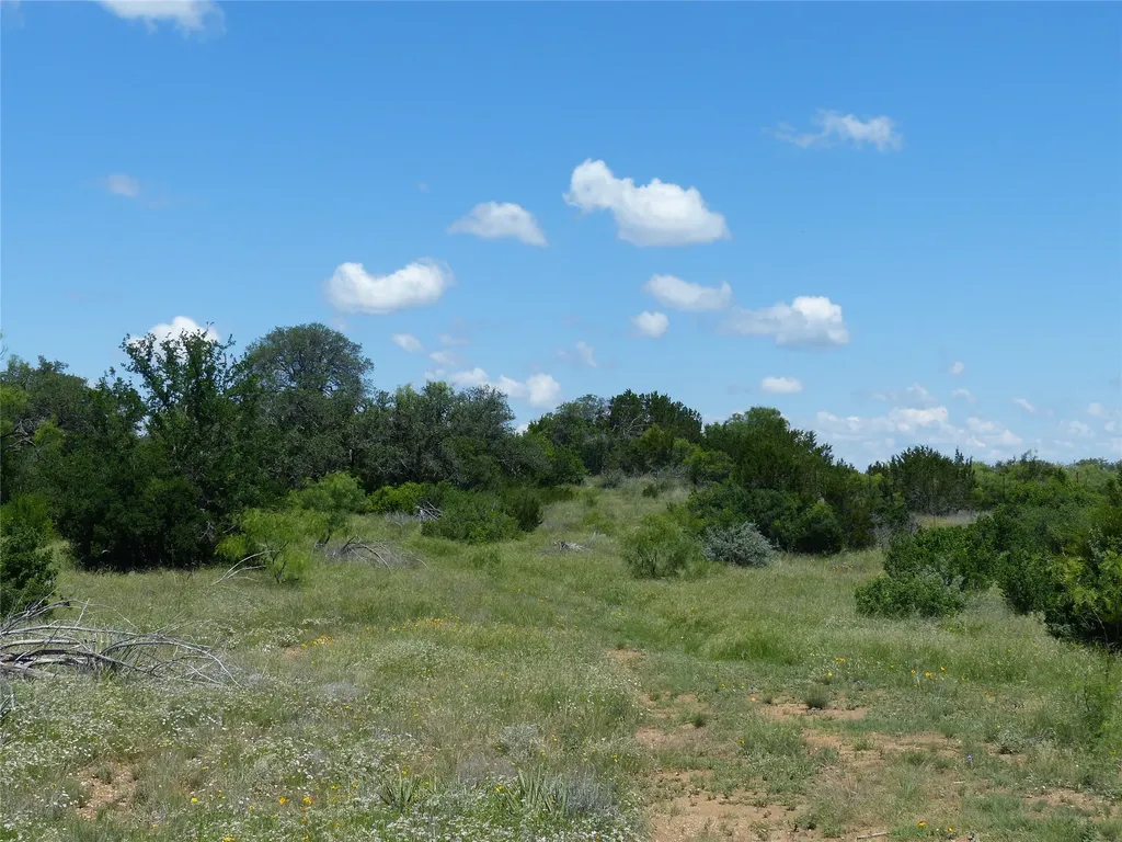 1825 Fm 1028 Rochelle TX 76872