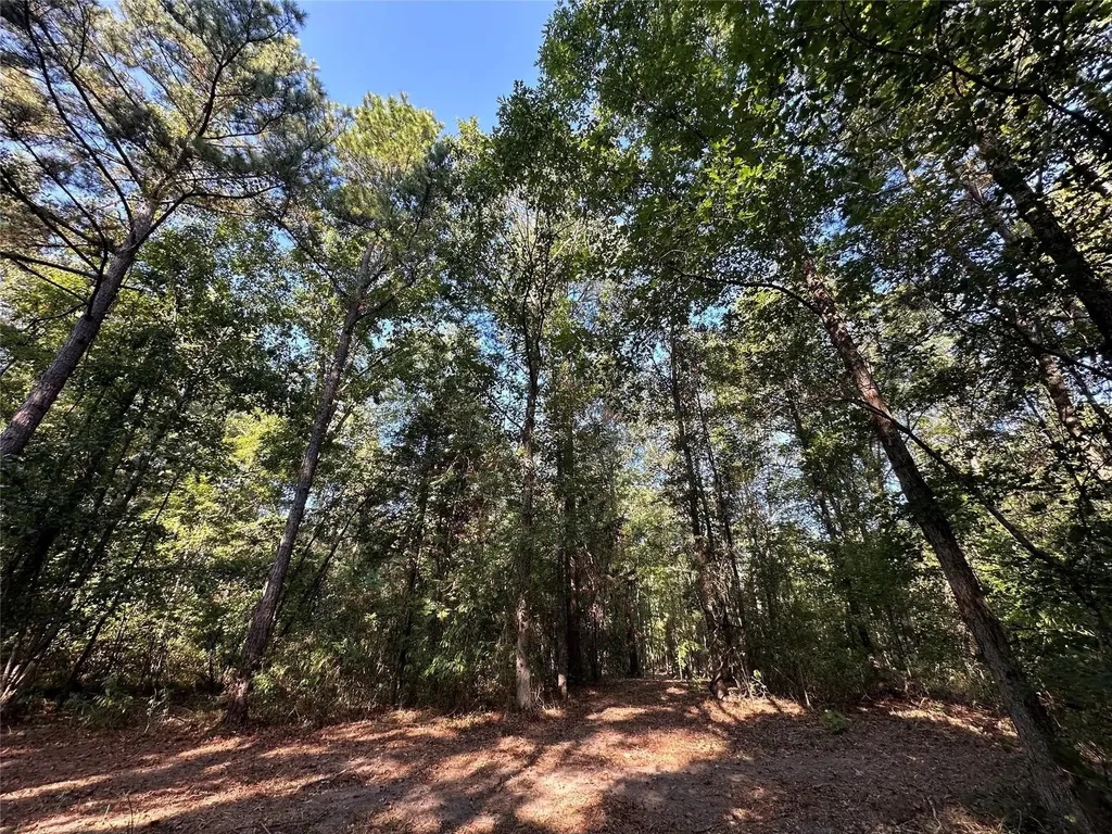 10 Acres Fm 852 Gilmer TX 75644