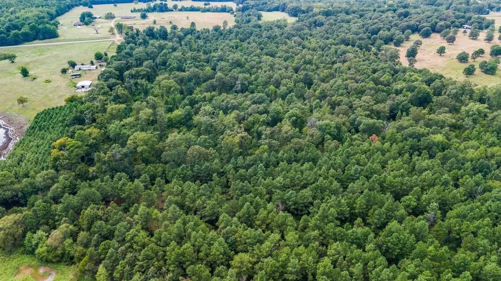 10 Acres Fm 852 Gilmer TX 75644