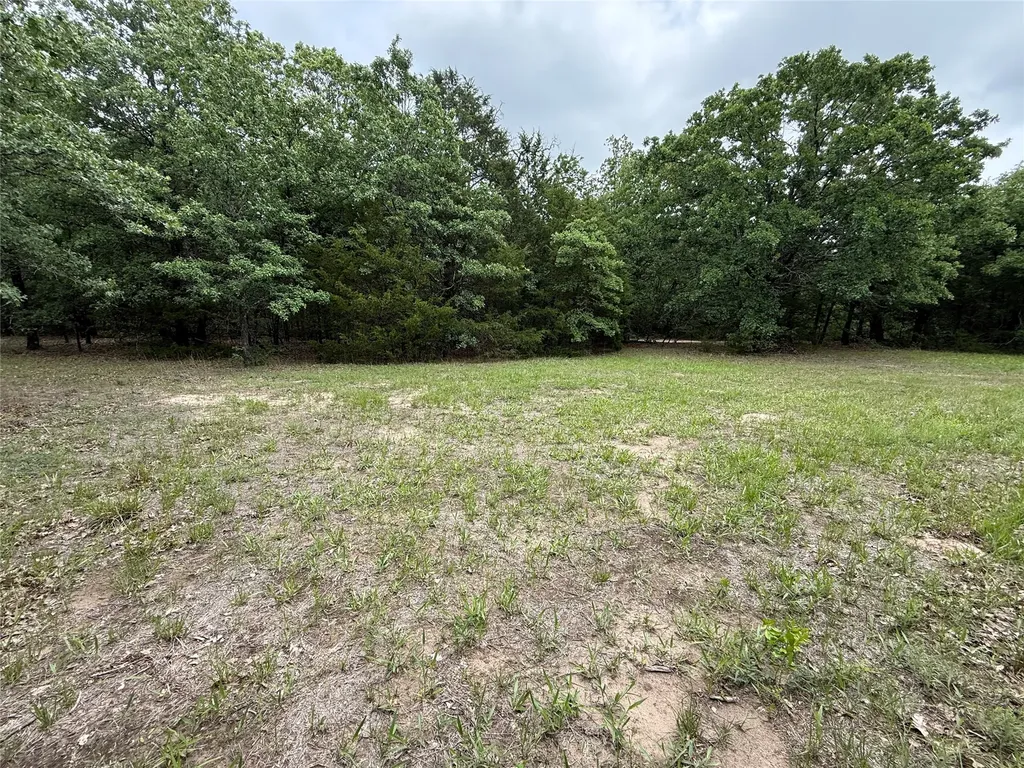 Tbd 27 Acres Fm 642 Purdon TX 76679