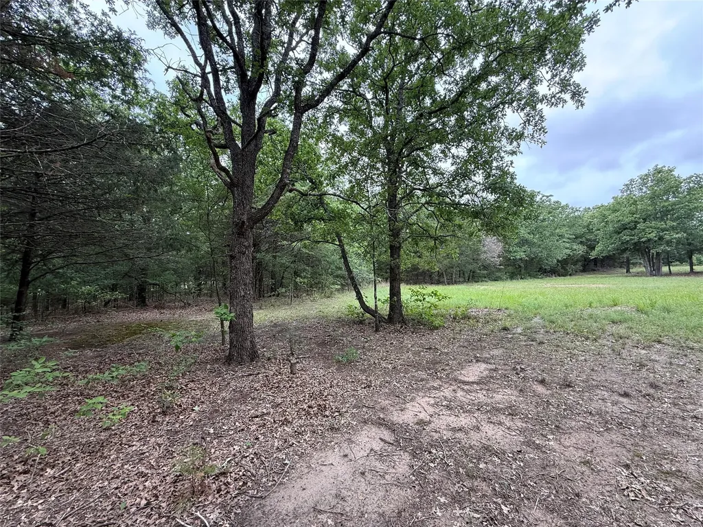 Tbd 27 Acres Fm 642 Purdon TX 76679