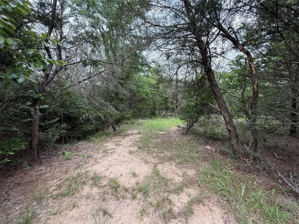 Tbd 27 Acres Fm 642 Purdon TX 76679