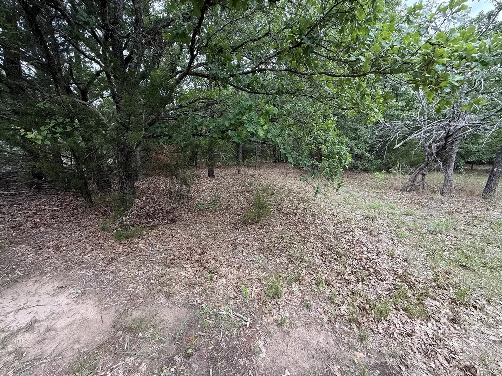 Tbd 27 Acres Fm 642 Purdon TX 76679