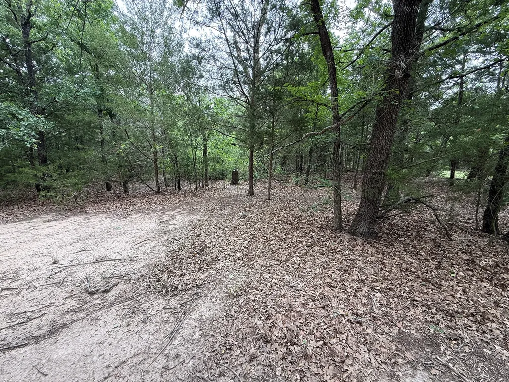 Tbd 27 Acres Fm 642 Purdon TX 76679