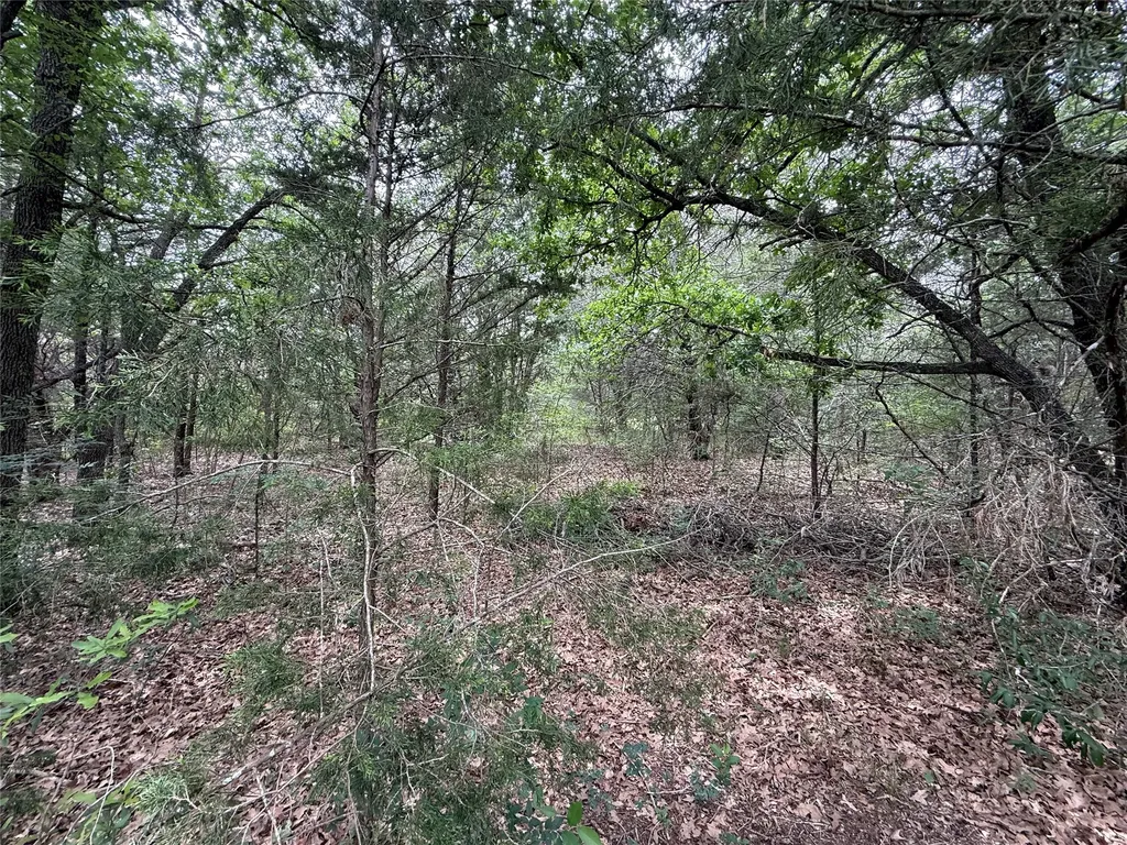 Tbd 27 Acres Fm 642 Purdon TX 76679