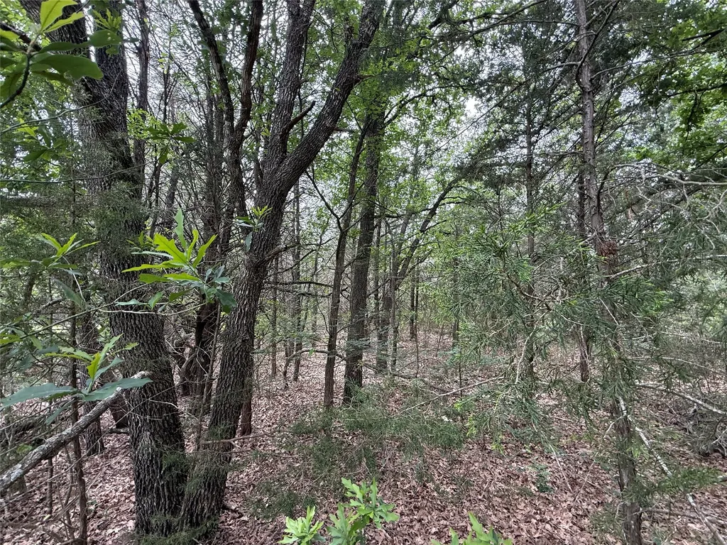 Tbd 27 Acres Fm 642 Purdon TX 76679