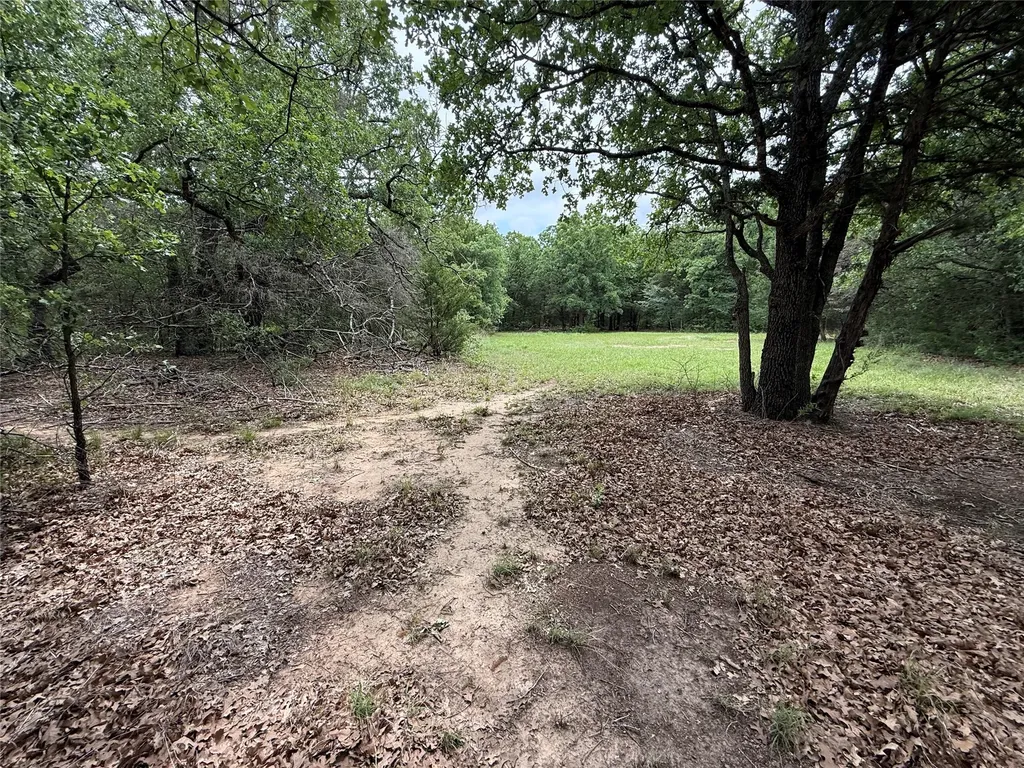 Tbd 27 Acres Fm 642 Purdon TX 76679