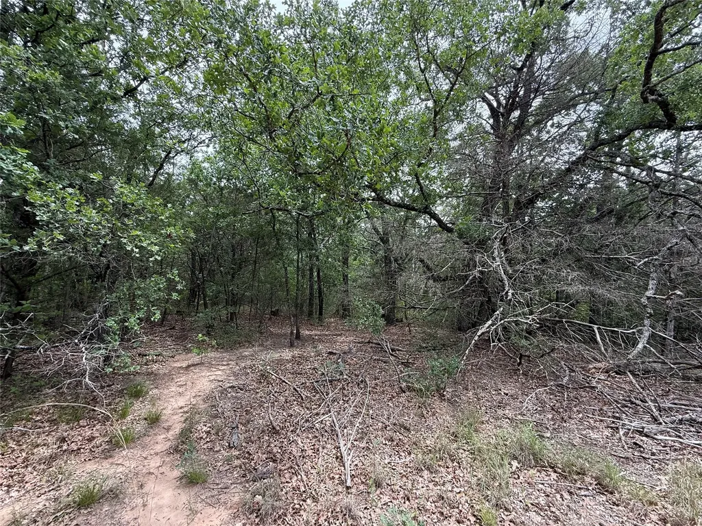 Tbd 27 Acres Fm 642 Purdon TX 76679